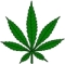 Dr_Gonzo