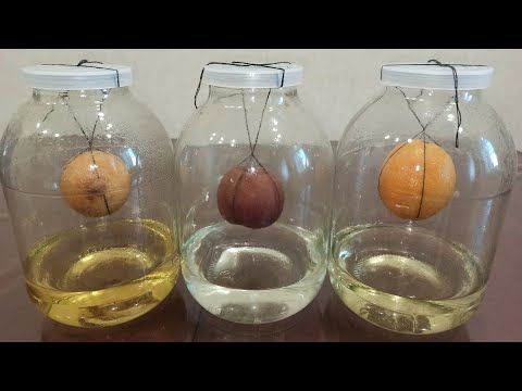 Изображение из комментария