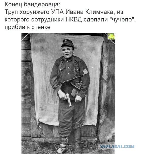 Картинка из комментария
