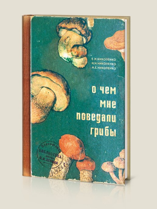 Картинка из комментария