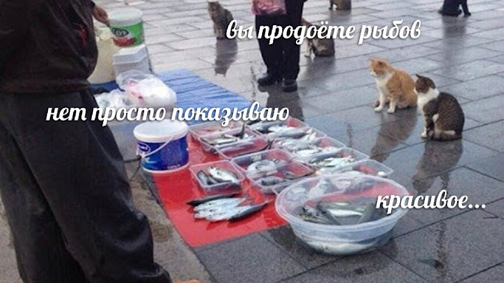 Картинка из комментария