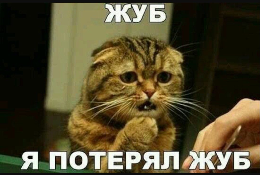 Изображение из комментария