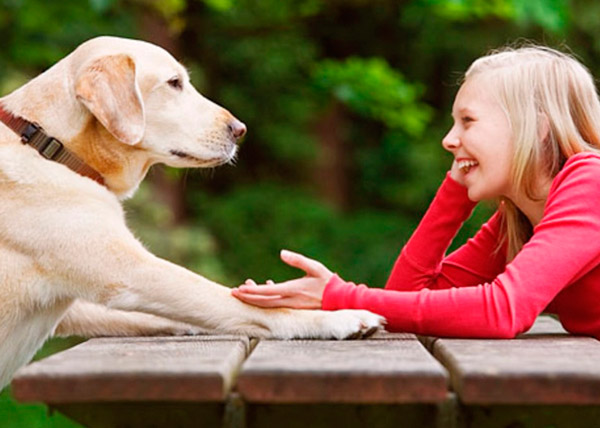 Собачий мозг обрабатывает речевую информацию п…