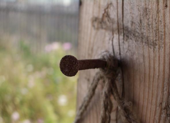 старые гвозди...