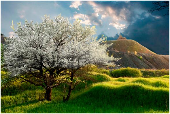 55 лет - шахтерскому подвигу...!