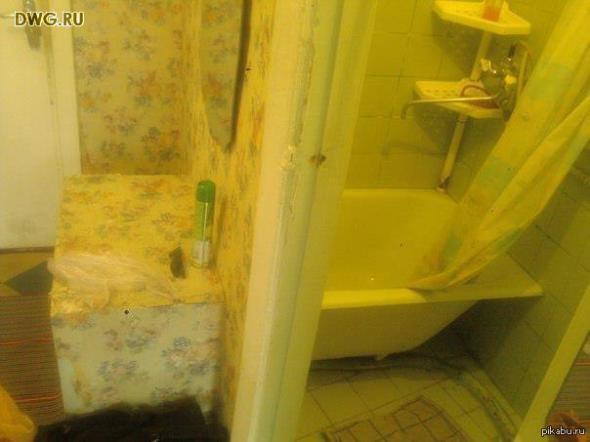 Выборы лучшего экспоната Кунсткамеры