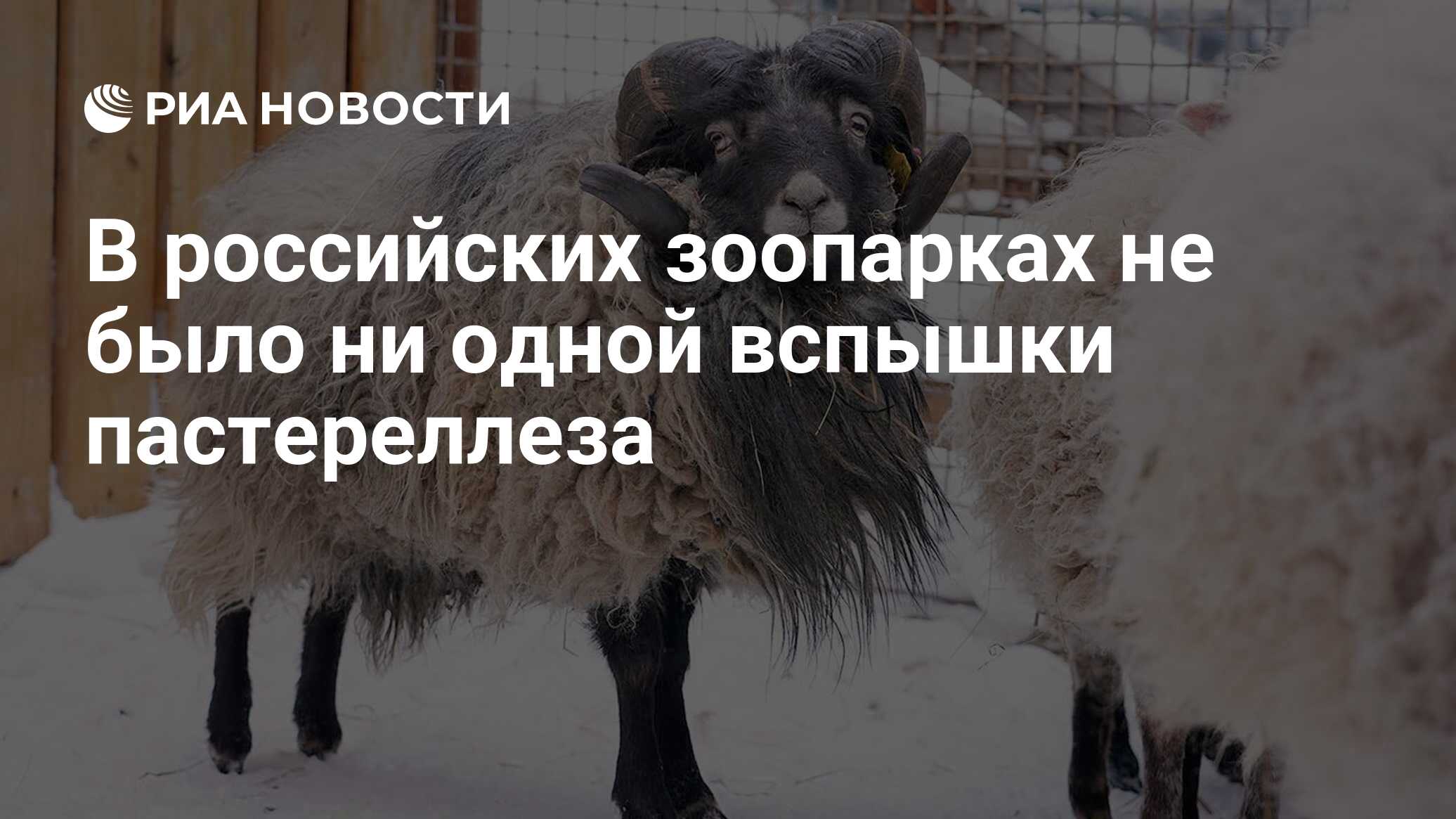 В российских зоопарках не было ни одной вспышк…