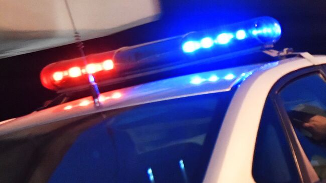 В Ленинградской области задержали 15-летнюю де…