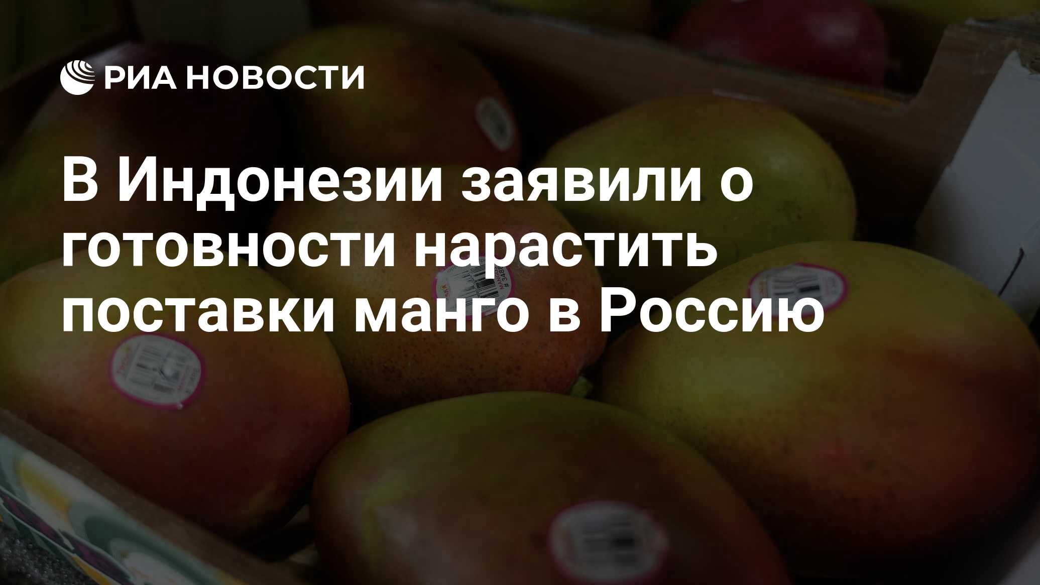 В Индонезии заявили о готовности нарастить пос…